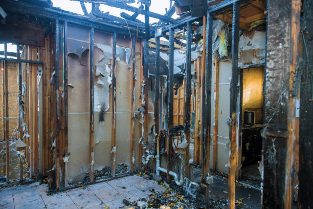 Professional Emergency Fire Cleanup technician working in Homestead Meadows North, TX